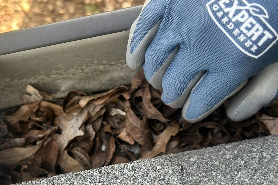 Gutter Cleaning Ocoee FL