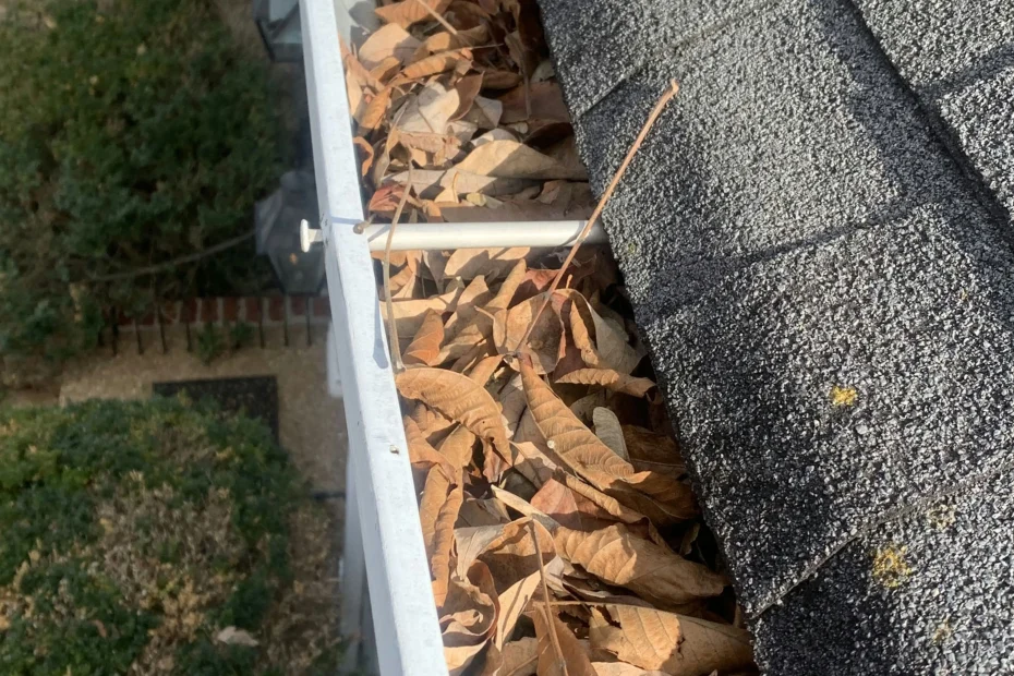 Gutter Cleaning Ocoee FL