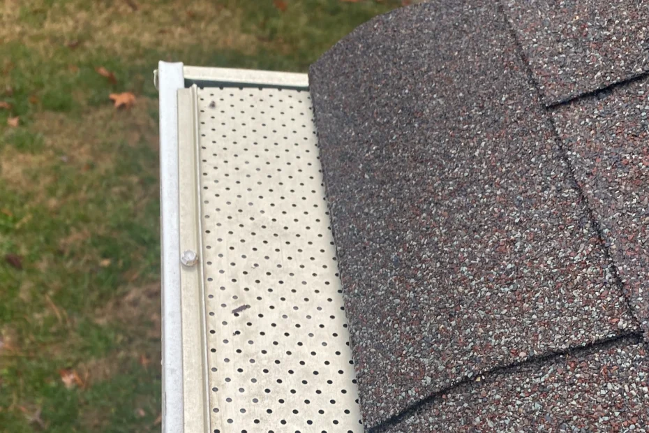 Gutter Cleaning Ocoee FL