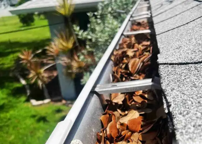 Gutter Cleaning Ocoee FL home page